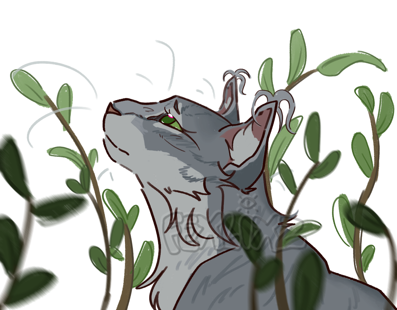 Bust illustration of a canine character